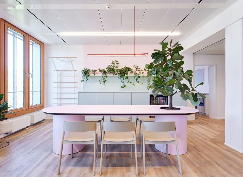 Heller Teambereich mit großem rosa Besprechungstisch, hellen Stühlen, Holzfußboden und üppiger Bepflanzung in einem modernen Büro.