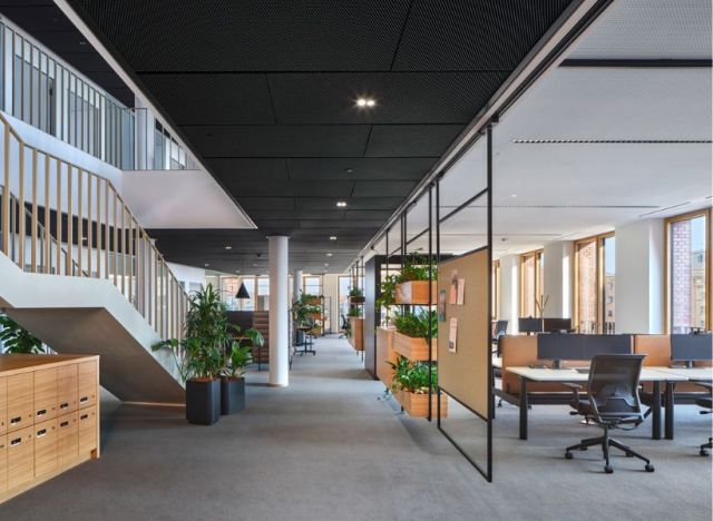Open-Space-Büro mit klar zonierten Arbeitsbereichen, integrierter Begrünung und offenen Strukturen für Zusammenarbeit und Rückzug.