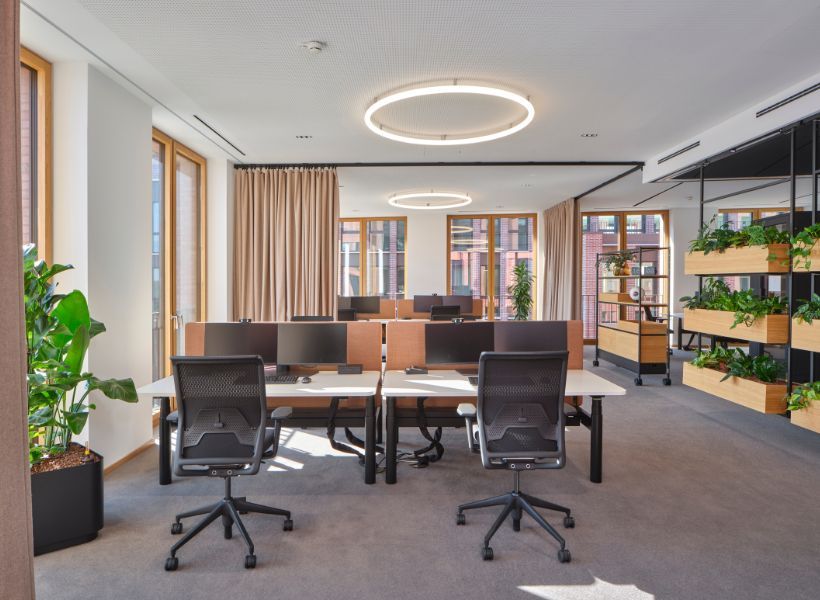Open-Space-Büro mit höhenverstellbaren Arbeitsplätzen, ringförmiger Deckenleuchte, viel Tageslicht und integrierter Begrünung.