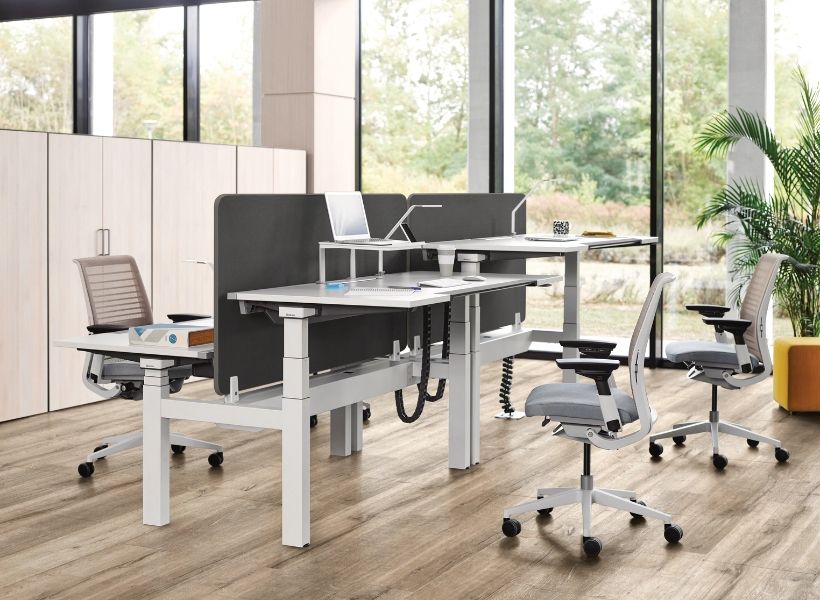Höhenverstellbare Schreibtische mit Tischtrennwänden in einem offenen Büro zur visuellen und akustischen Abgrenzung von Arbeitsplätzen.